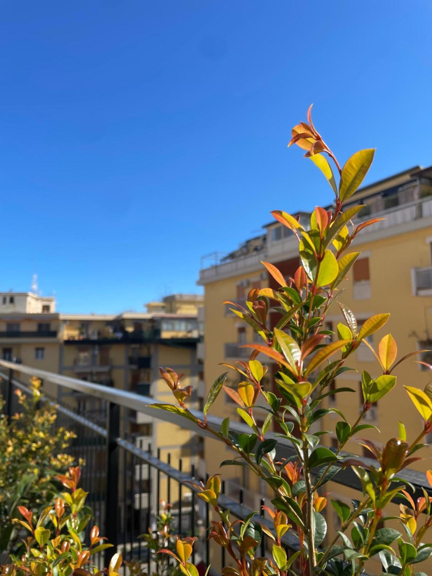 Terrazza L Emiro Casa Vacanze Daire Palermo Dış mekan fotoğraf
